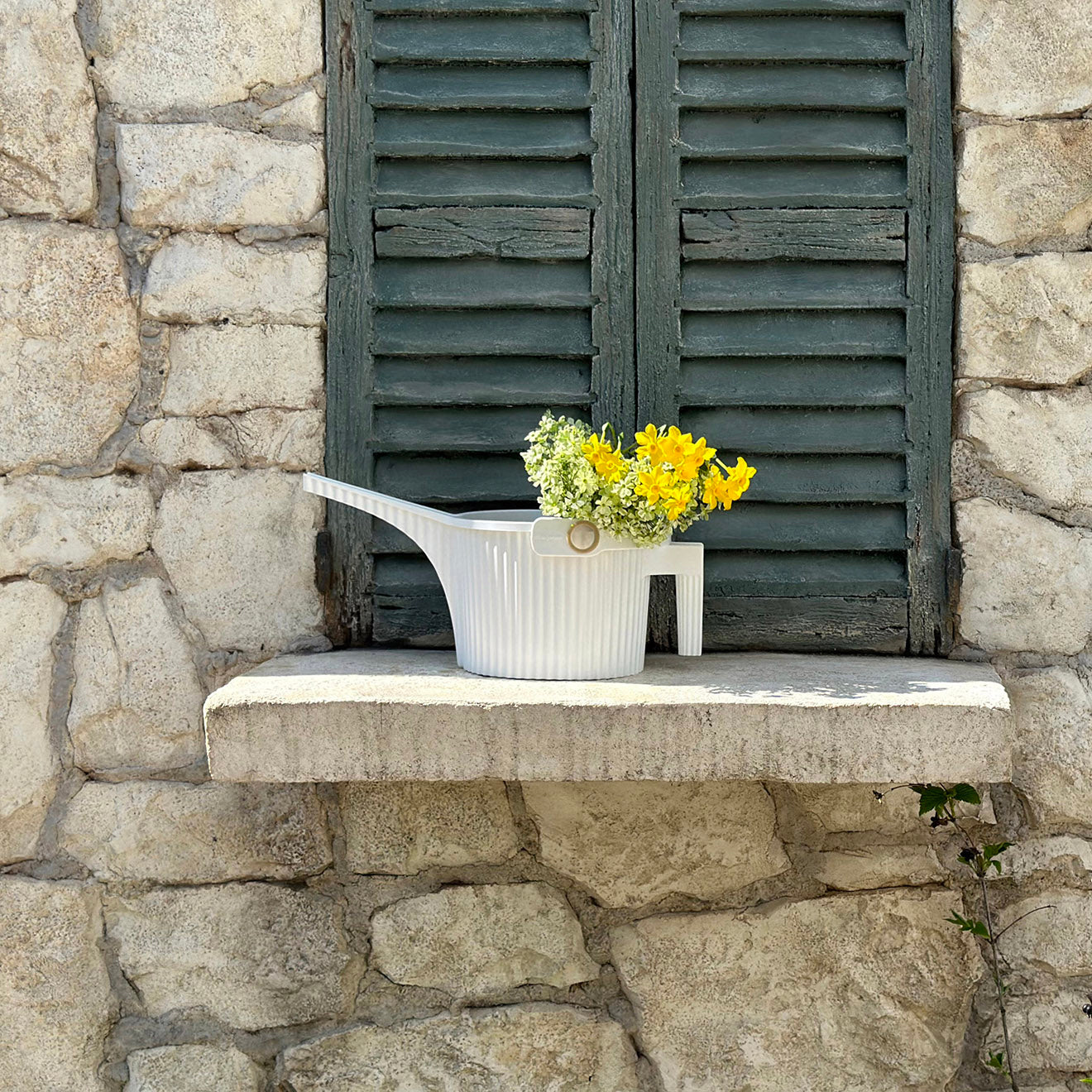 Jerry 鵜飼　ストレンジャー　Watering the Garden Jerry 鵜飼 ストレンジャー Watering the Garden Jerry 鵜飼