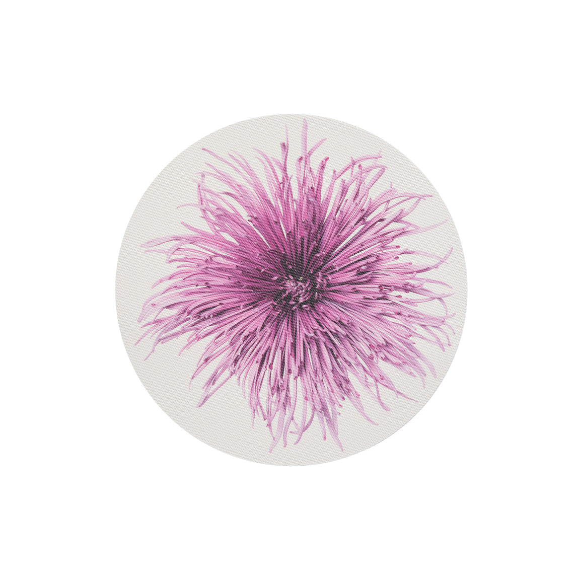 Mums Placemats - Plum