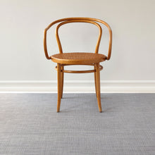 Basketweave Rugs - Shadow With Prop