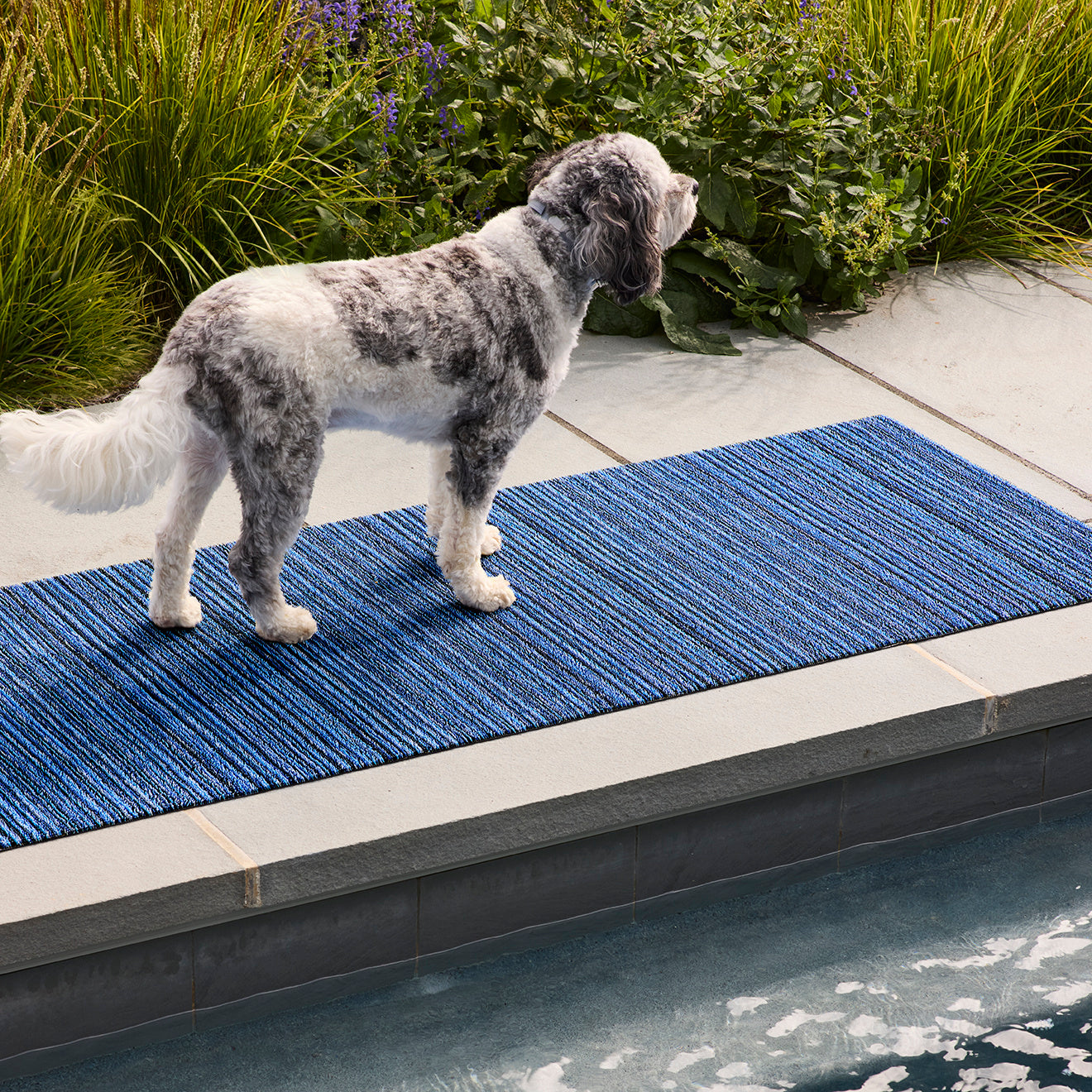 Skinny Stripe Shag Mats - Ocean