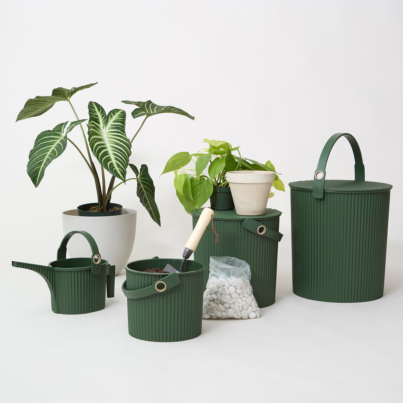 Hachiman Garden Beetle Watering Cans | Chilewich