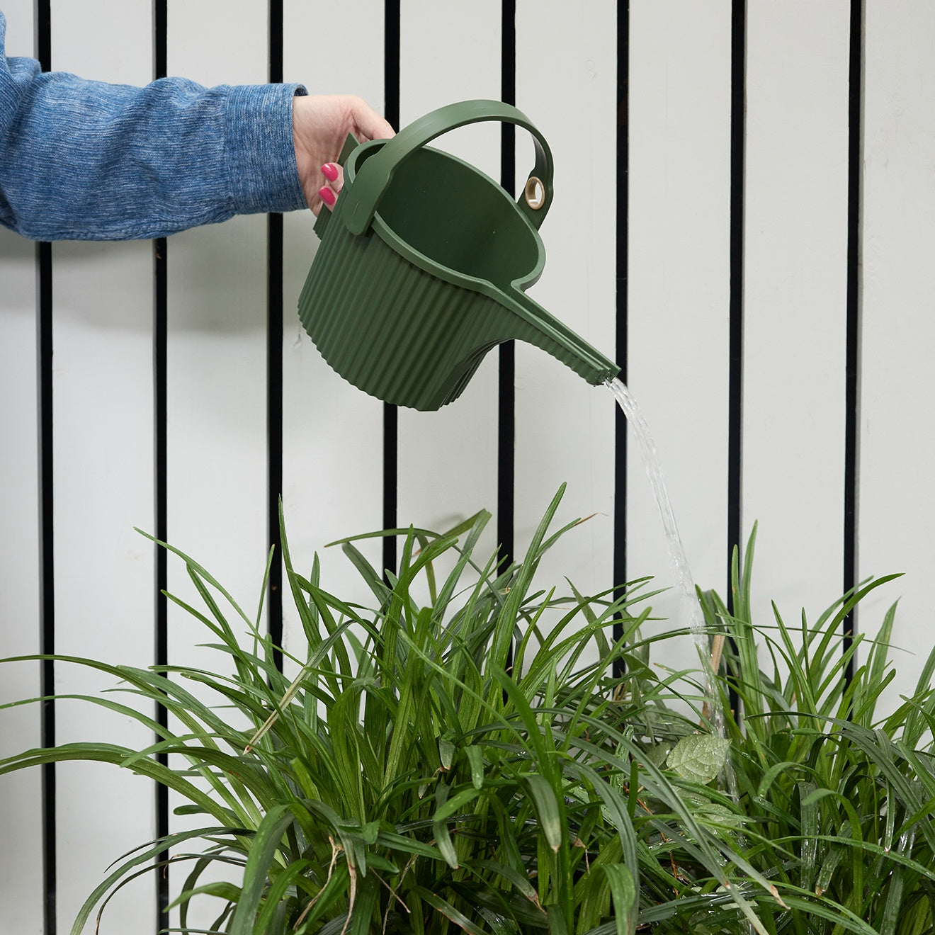 Hachiman Garden Beetle Watering Cans | Chilewich