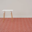 Overshot Rugs - Paprika With Prop