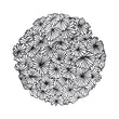 Daisy Placemats - Black With Prop