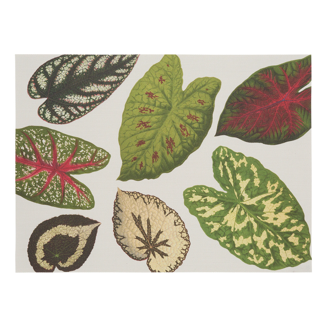 Scattered Leaves Placemats - Green