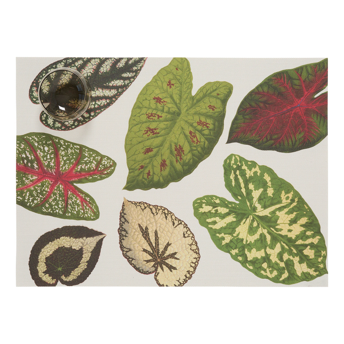 Scattered Leaves Placemats View 1