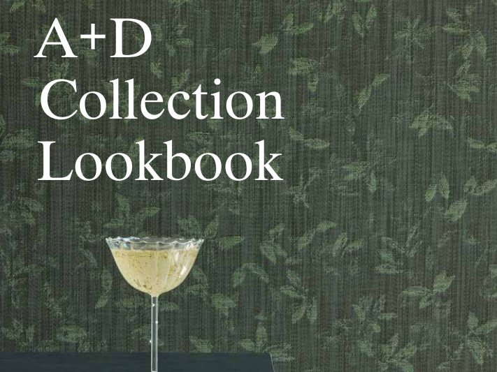 2026 Collection Lookbook