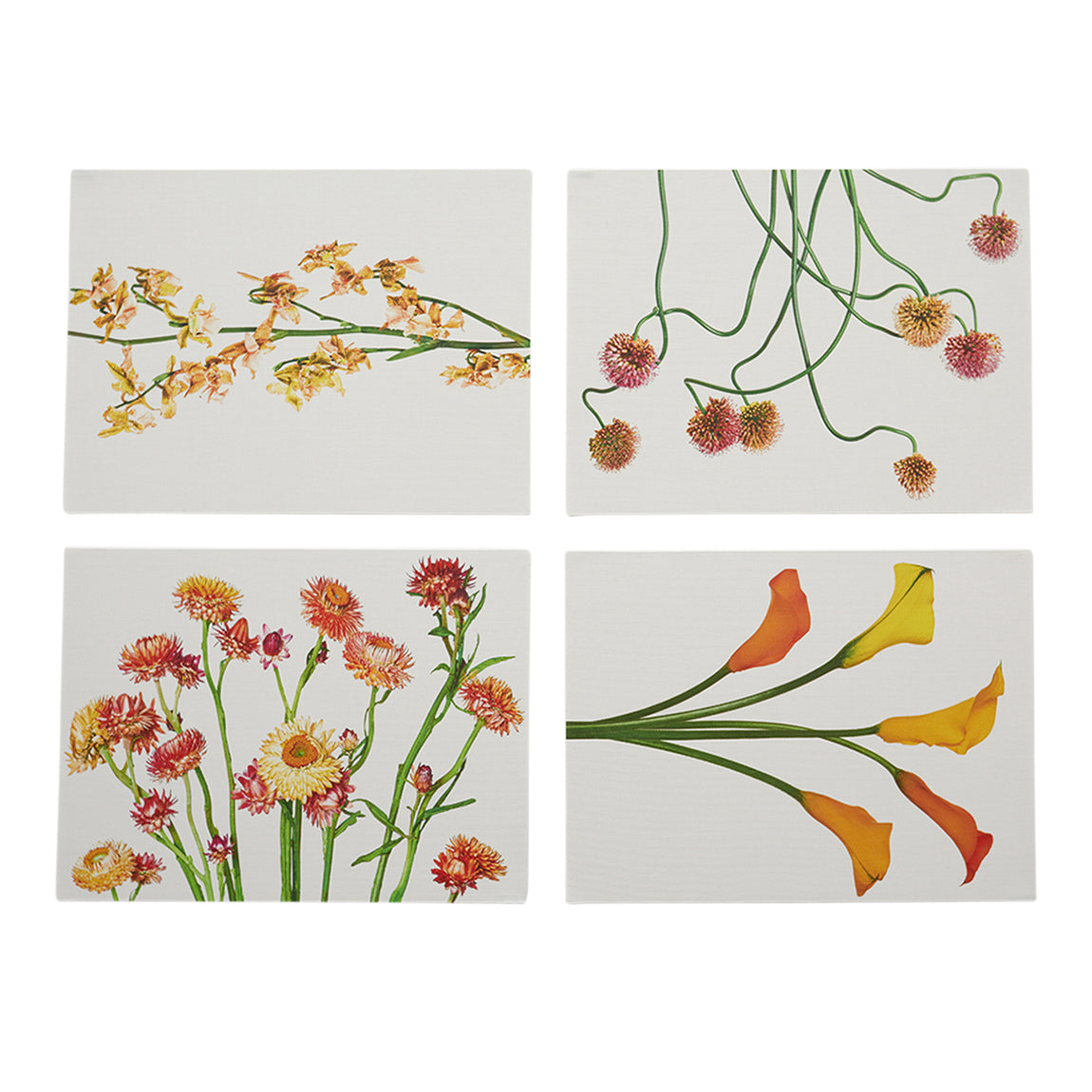 Stems Placemats - Multi